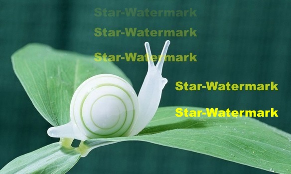 Set watermark transparency in Star Watermark for Mac